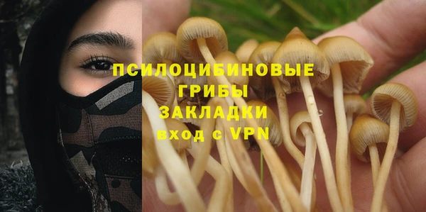 стаф Нея