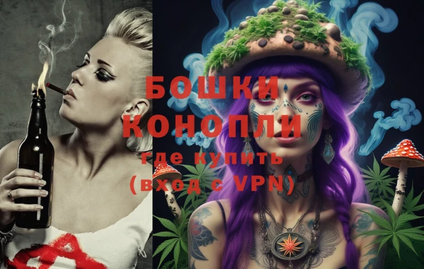 стаф Нея