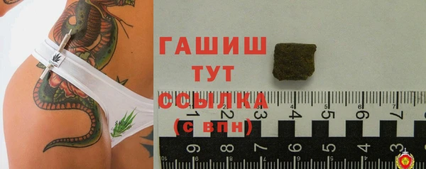 стаф Нея