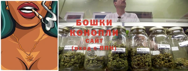 стаф Нея