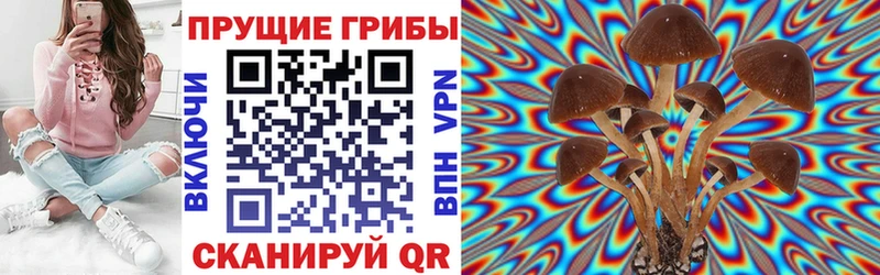 Псилоцибиновые грибы ЛСД  Купить  Коряжма 